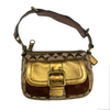 Coach Brown Special Edition Fall Bag