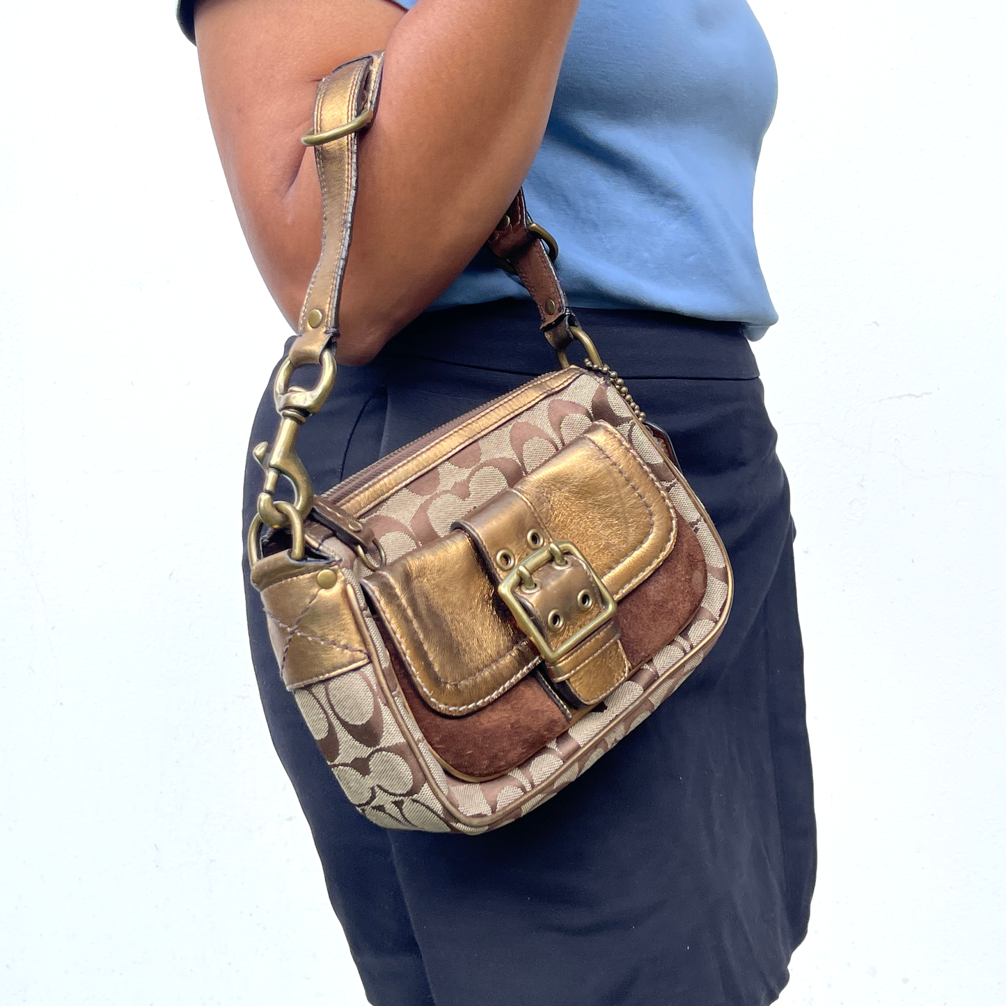 Coach Brown Special Edition Fall Bag