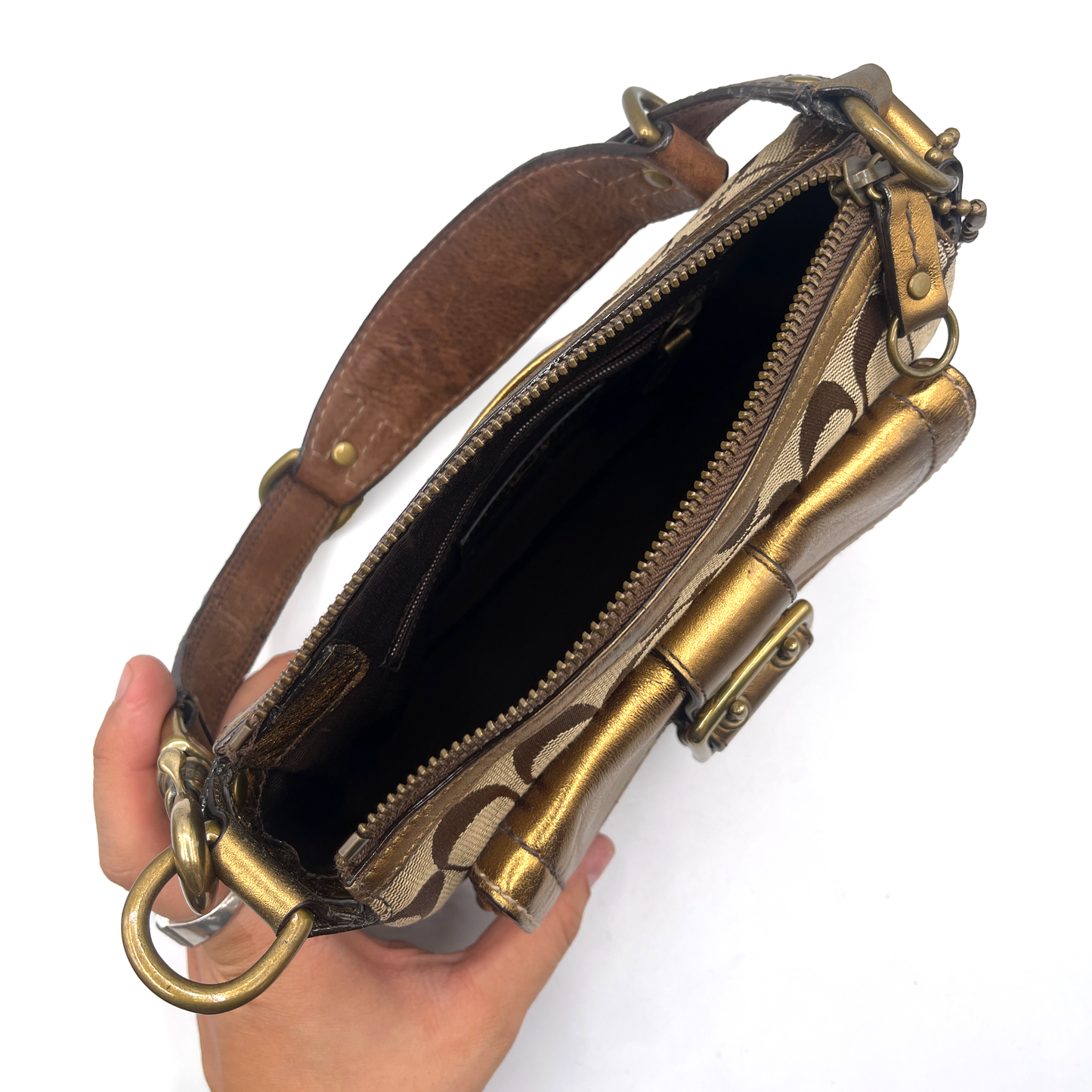 Coach Brown Special Edition Fall Bag