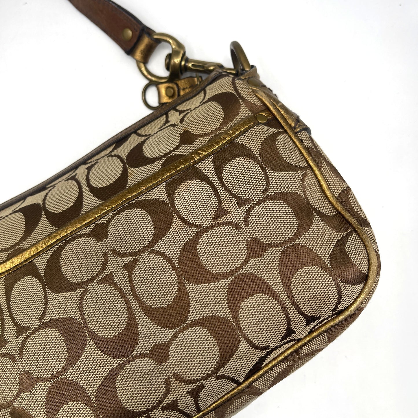 Coach Brown Special Edition Fall Bag