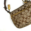 Coach Brown Special Edition Fall Bag