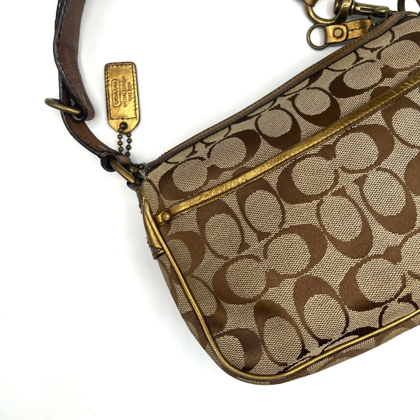 Coach Brown Special Edition Fall Bag