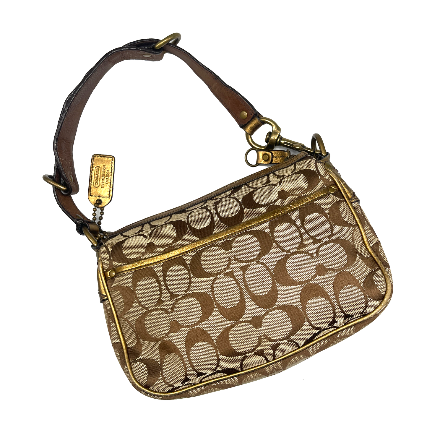 Coach Brown Special Edition Fall Bag