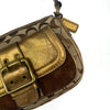 Coach Brown Special Edition Fall Bag