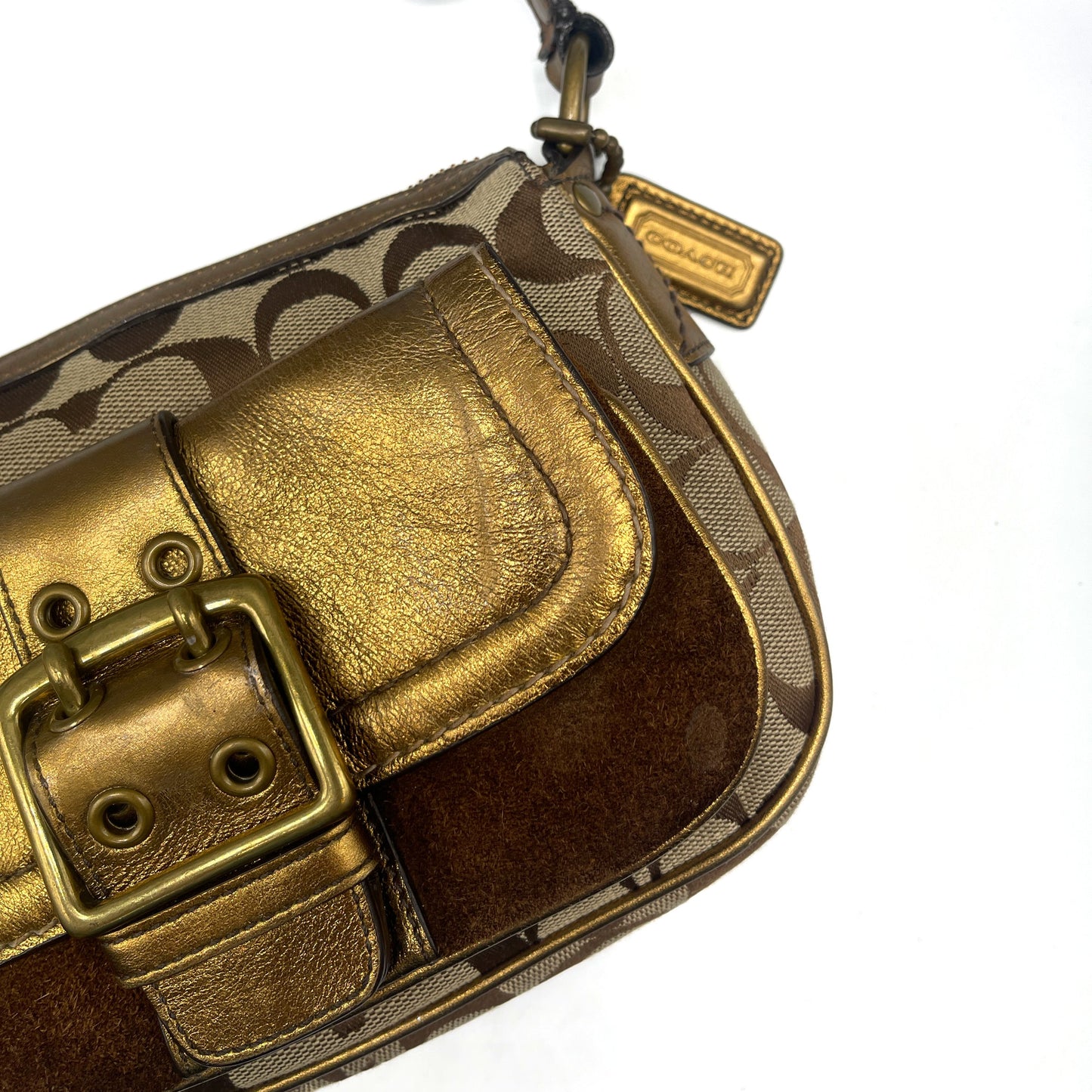 Coach Brown Special Edition Fall Bag