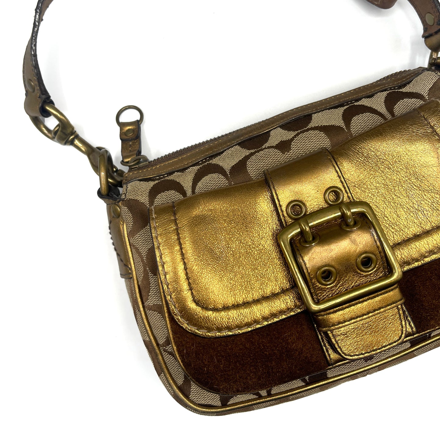 Coach Brown Special Edition Fall Bag