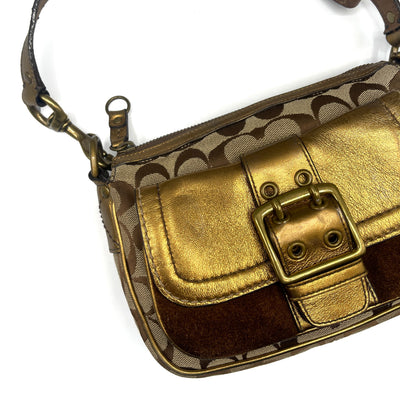 Coach Brown Special Edition Fall Bag
